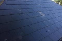 19554269_421177578276045_8714431859692100411_n