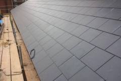 19554466_421177501609386_9212748299946476847_n