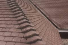 19601327_424139127979890_5027060972616491390_n