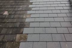 24910048_490702677990201_8240855838821198525_n