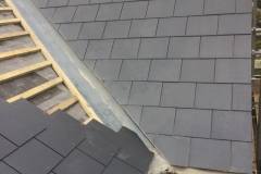 25353623_490702621323540_5335156975596428812_n