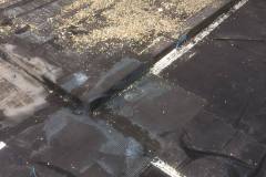 25442757_494039534323182_5848484514462684346_n