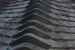 26805057_507843976276071_8833760359728271700_n