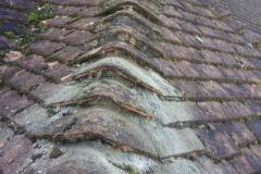 26904518_507843966276072_3661333658785998121_n