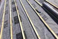 36335989_581686872225114_6886709712419553280_n